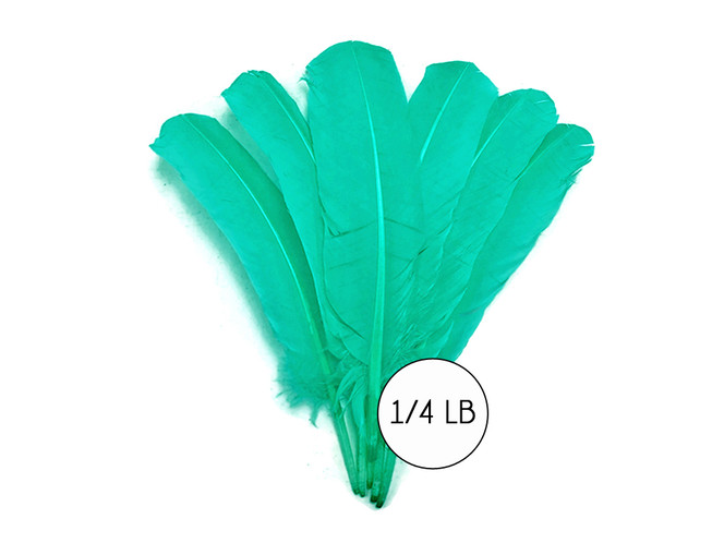 1/4 Lb - Aqua Green Turkey Tom Rounds Secondary Wing Quill Wholesale Feathers (Bulk)