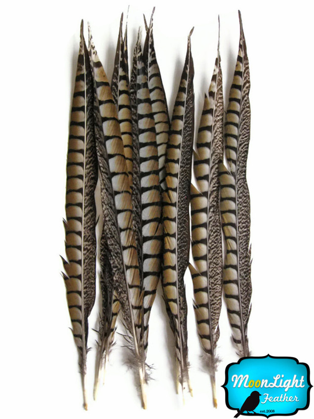 12-14" Natural Lady Amherst Pheasant Tail Wholesale Feathers (Bulk)