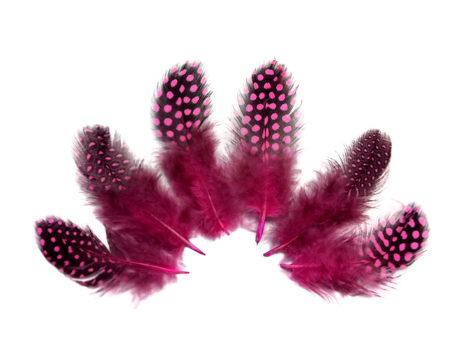 1/4 Lb - Candy Pink Guinea Hen Plumage Polka Dot Feathers Wholesale (Bulk)