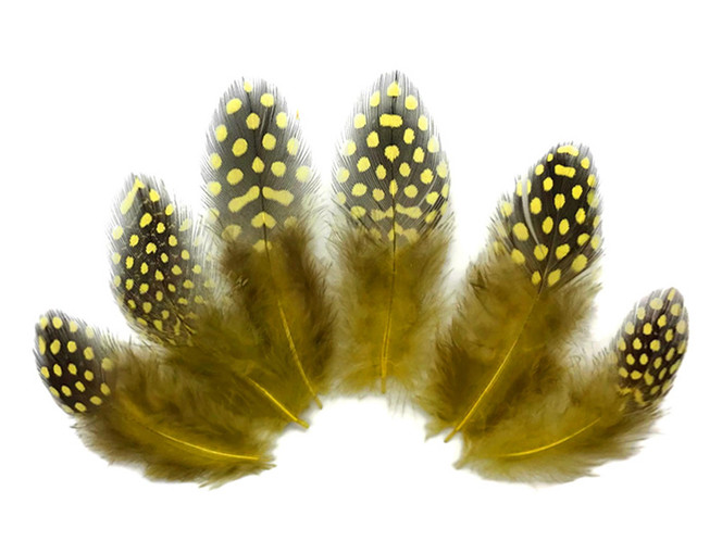 1/4 Lb - Yellow Guinea Hen Plumage Polka Dot Feathers Wholesale (Bulk)