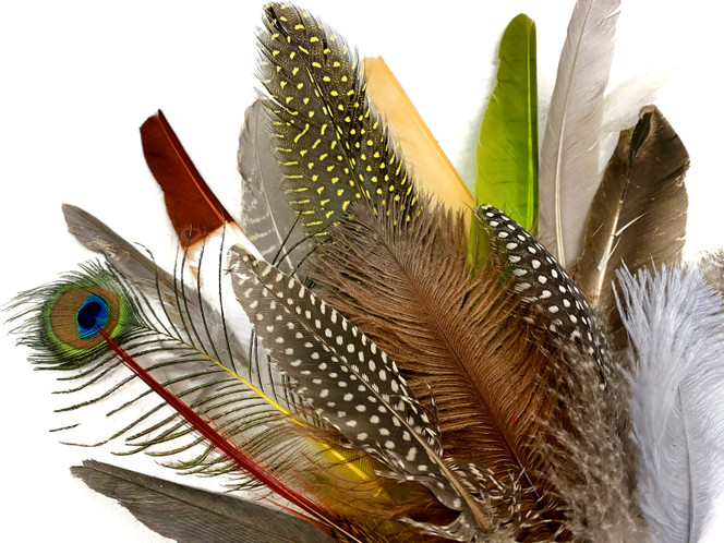 Collection 84 - Mix Random Feather Sample Pack (Bulk)