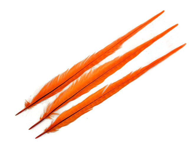 10 Pieces - 20-22" ORANGE Long Ringneck Pheasant Tail Feathers