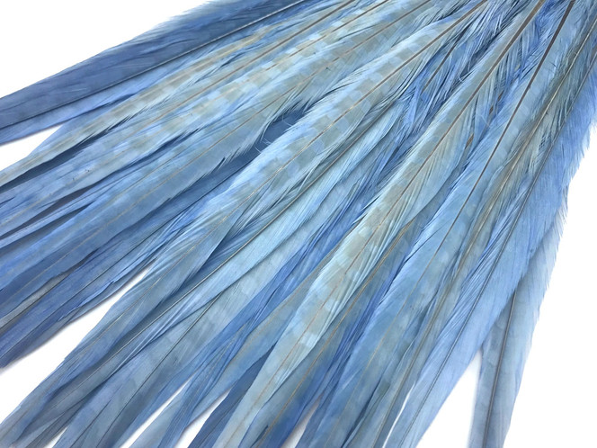 50 Pieces - 18-22" Light Blue Bleached & Dyed Long Ringneck Pheasant Tail Wholesale Feathers (Bulk)