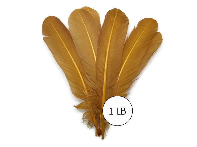 1/4 Lb. - 4-6 Natural Ringneck Pheasant Wing Round Quills Wholesale  Feather (Bulk)