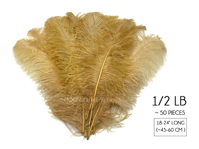 1/2 Lb. - 18-24" Old Gold Large Ostrich Wing Plume Wholesale Feathers (Bulk)