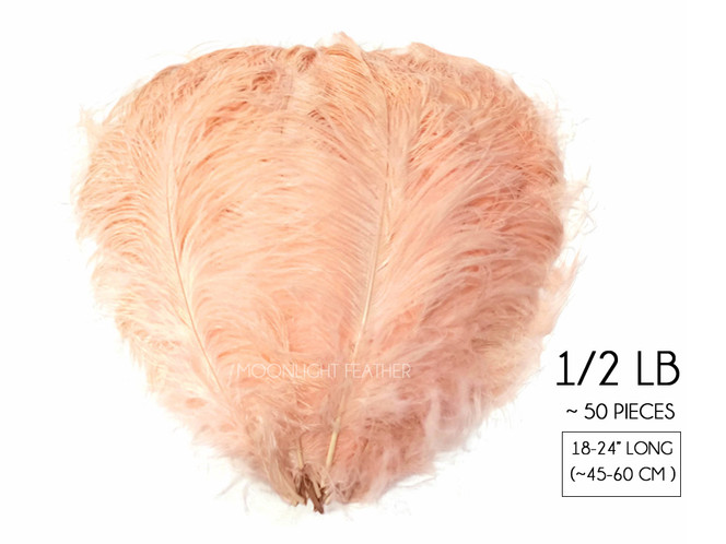 1/2 Lb. - 18-24" Champagne Large Ostrich Wing Plume Wholesale Feathers (Bulk)