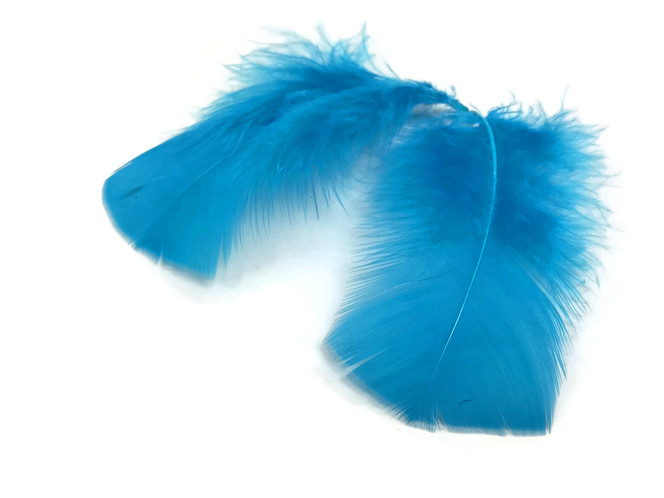1 Pack - Turquoise Blue Turkey T-Base Plumage Feathers 0.50 Oz.