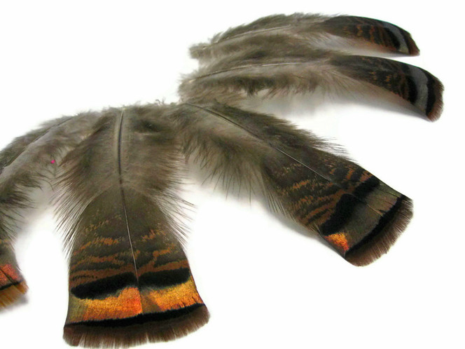 5 Pieces - Natural Wild Bronze Turkey Flats Feathers