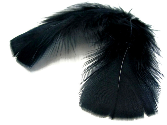 1 Pack - Black Dyed Turkey T-Base triangle Body Plumage Feathers 0.50 Oz.