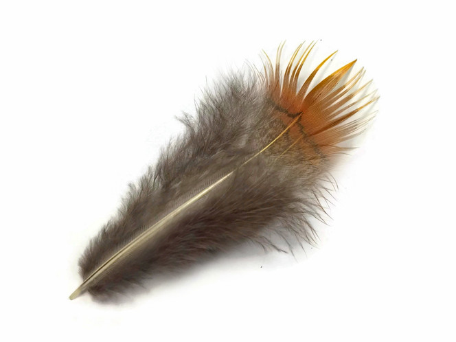 1 Pack - Natural Yellow Golden Pheasant Plumage Loose Feather 0.10 Oz.
