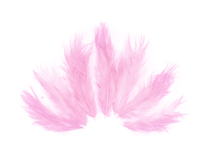 1 Dozen - Solid Light Pink Mini Rooster Chickabou Fluff Whiting Hair Feathers