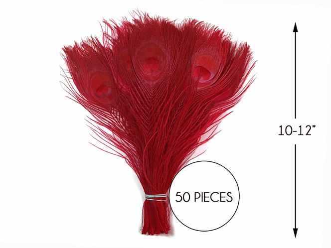 50 Pieces – Red Bleached & Dyed Peacock Tail Eye Wholesale Feathers (Bulk) 10-12” Long 