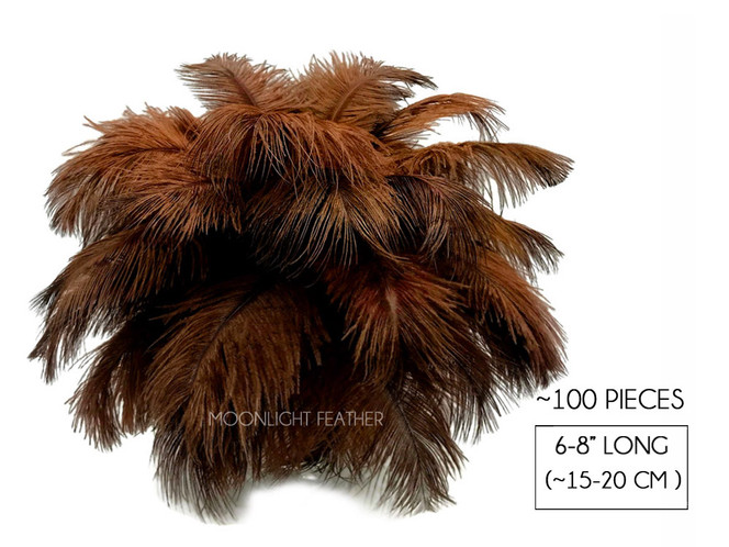 100 Pieces - 6-8" Brown Wholesale Ostrich Drabs Feathers (Bulk)