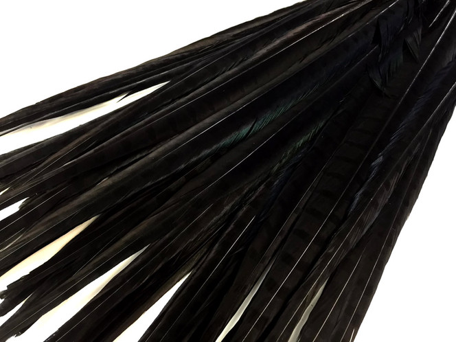 50 Pieces - 18-22" Black Bleached & Dyed Long Ringneck Pheasant Tail Wholesale Feathers (Bulk)