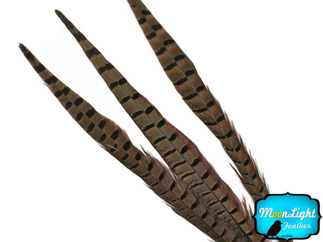 10 Pieces - 18-20" Natural Long Ringneck Pheasant Tail Feathers