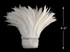 1 Yard – 4-6” Natural White Strung Chinese Rooster Saddle Wholesale Feathers (Bulk) 