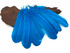 1/4 Lb - Turquoise Blue Turkey Tom Rounds Secondary Wing Quill Wholesale Feathers (Bulk)