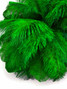 1/2 lb. - 14-17" Kelly Green Ostrich Large Body Drab Wholesale Feathers (Bulk)