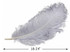 1/2 Lb. - 18-24" Silver Gray Large Ostrich Wing Plume Wholesale Feathers (Bulk)