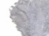 1/2 Lb. - 18-24" Silver Gray Large Ostrich Wing Plume Wholesale Feathers (Bulk)
