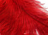 1/2 Lb. - 18-24" Red Large Ostrich Wing Plume Wholesale Feathers (Bulk)