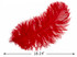 1/2 Lb. - 18-24" Red Large Ostrich Wing Plume Wholesale Feathers (Bulk)