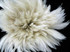 1 Yard - Natural White Strung Rooster Neck Hackle Wholesale Feathers (Bulk)