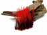10 Pieces - Red Dyed BLW Laced Short Rooster Cape Whiting Farms Feathers