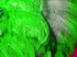 1/2 Lb. - 18-24" Lime Green Large Ostrich Wing Plume Wholesale Feathers (Bulk)