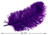 10 Pieces - 18-24" Purple Large Prime Grade Ostrich Wing Plume Centerpiece Feathers