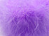 2 Yards - Lavender Turkey Medium Weight Marabou Feather Boa 25 Gram