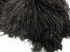 10 Pieces -  12-16" Black Dyed Ostrich Tail Fancy Feathers