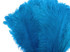 10 Pieces - 8-10" Turquoise Blue Ostrich Dyed Drabs Feathers
