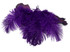 10 Pieces -  12-16" Purple Dyed Ostrich Tail Fancy Feathers