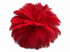 10 Pieces - 11-13" Red Bleached & Dyed Ostrich Drabs Body Feathers