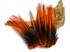10 Pieces - Orange Dyed BLW Laced Long Rooster Cape Whiting Farms Feathers