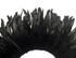 1 Yard - Black Dyed Strung Rooster Schlappen Wholesale Feathers (Bulk)