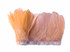 1 Yard - Peach Goose Pallet Parried Dyed Feather Trim