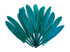 1 Pack - Peacock Green Dyed Duck Cochettes Loose Wing Quill Feather 0.30 Oz.