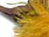 1 Yard - Golden Yellow Ostrich Fringe Trim Wholesale Feather (Bulk)
