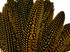 10 Pieces - Dyed Yellow Polka Dot Guinea Fowl Wing Quill Feathers