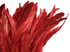 1 Yard - 10-12" Red Bleach & Dyed Coque Tails Long Feather Trim (Bulk)