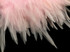 1 Yard - Light Pink Rooster Neck Hackle Saddle Feather Wholesale Trim