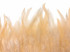 1 Yard - Peach Rooster Neck Hackle Saddle Feather Wholesale Trim