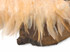 1 Yard - Peach Rooster Neck Hackle Saddle Feather Wholesale Trim