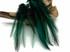 10 Pieces - Peacock Green Dyed BLW Laced Long Rooster Cape Whiting Farms Feathers