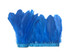 Turquoise blue shiny full feather trim