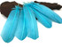 1/4 Lb - Light Blue Turkey Tom Rounds Secondary Wing Quill Wholesale Feathers (Bulk)