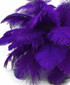 10 Pieces - 14-17" Purple Ostrich Dyed Drab Body Feathers