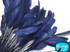 Dark blue trimmed rooster craft feathers
